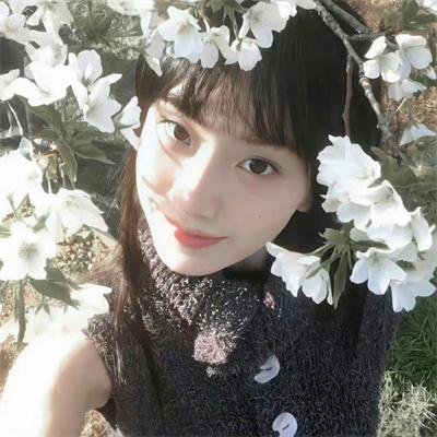 失业女王联盟封面