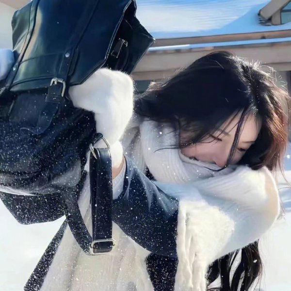 火星追梦封面