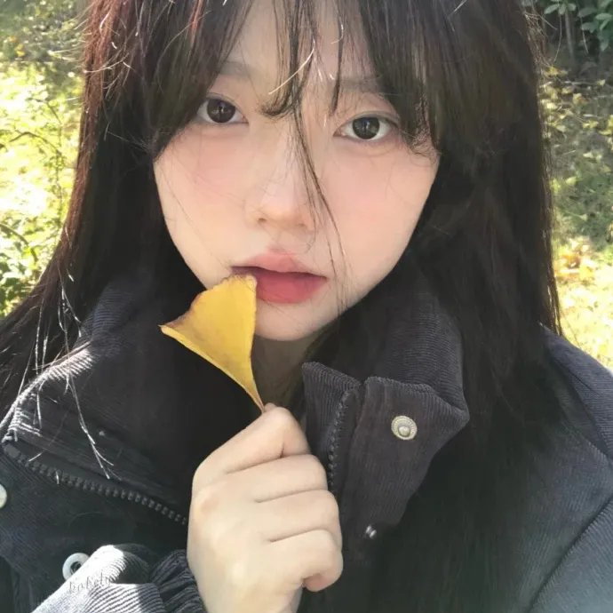 金秋喜临门封面